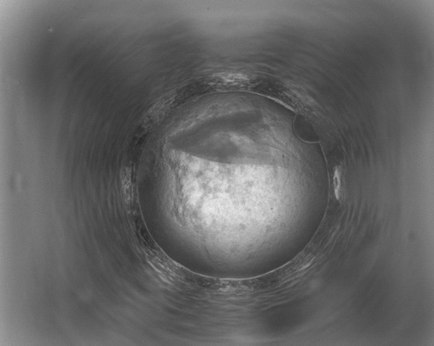 X0000064041395200602031545