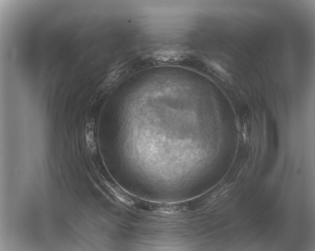 X0000064041396200602031545