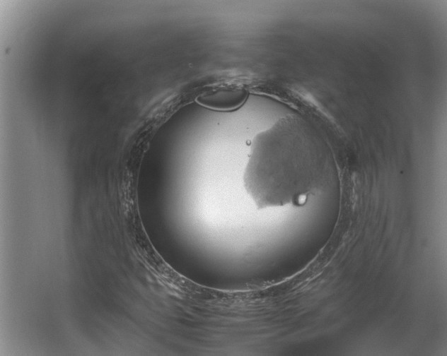 X0000064041399200602031545