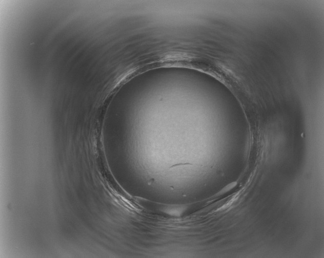 X0000064041401200602031545