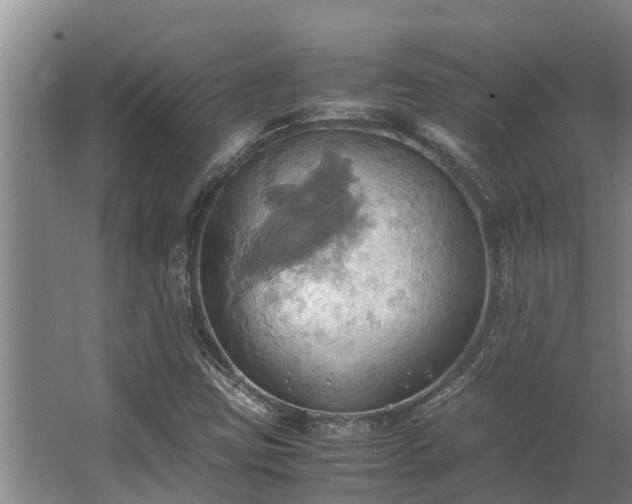 X0000064041403200602031545