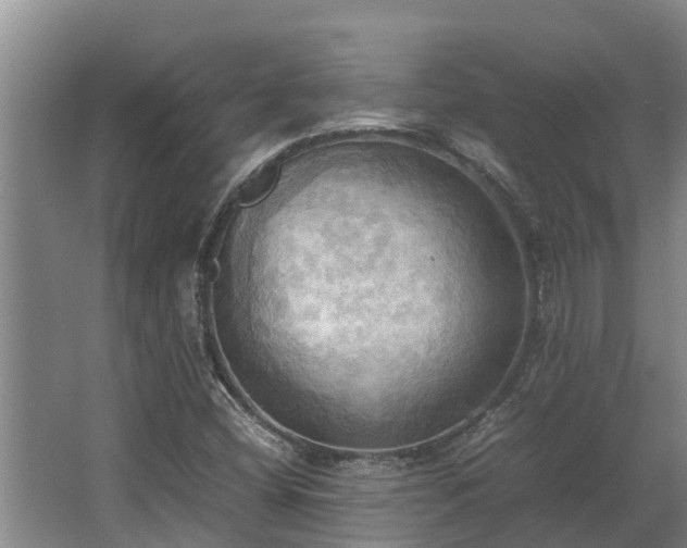 X0000064041404200602031545