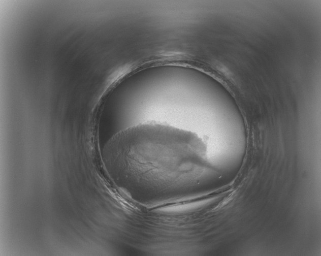 X0000064041405200602031545