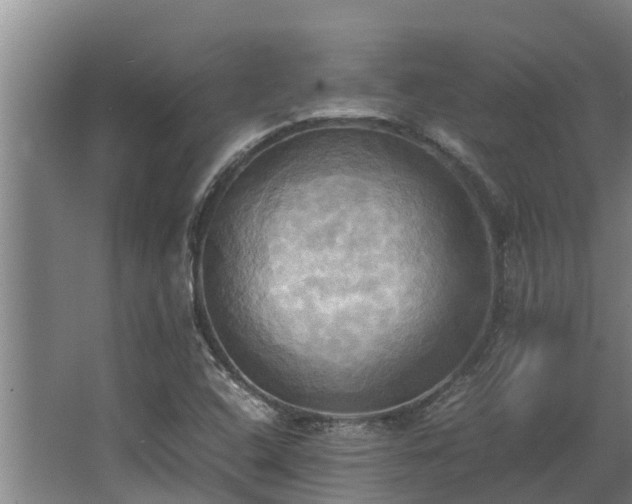 X0000064041408200602031545