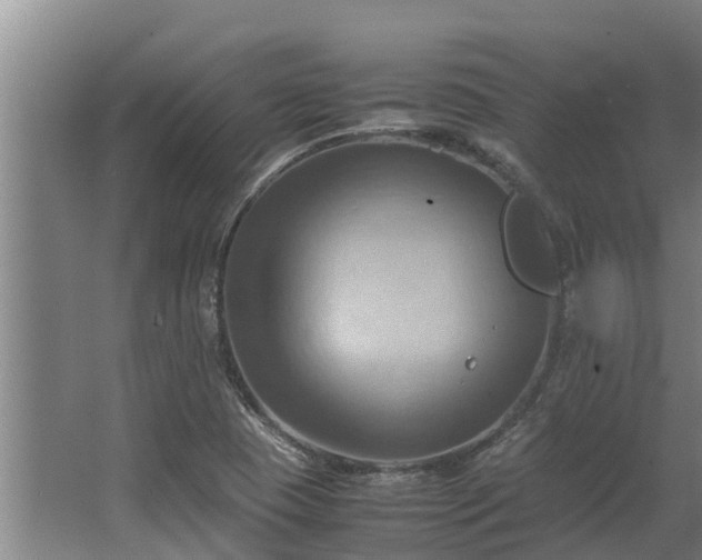 X0000064041409200602031545