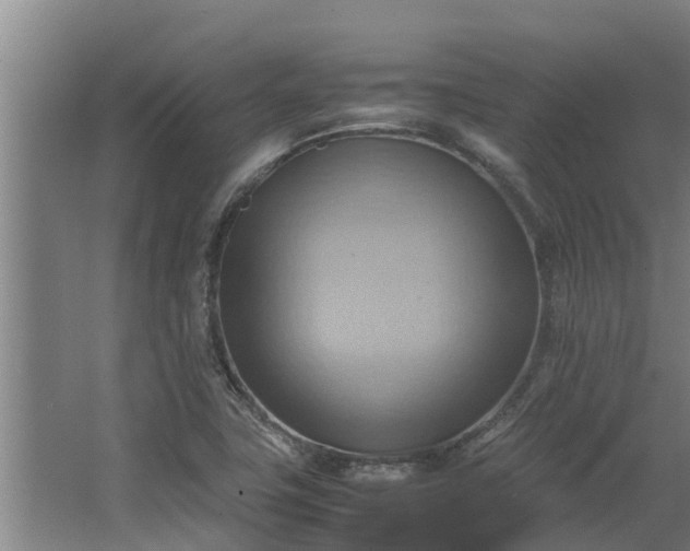 X0000064041411200602031546