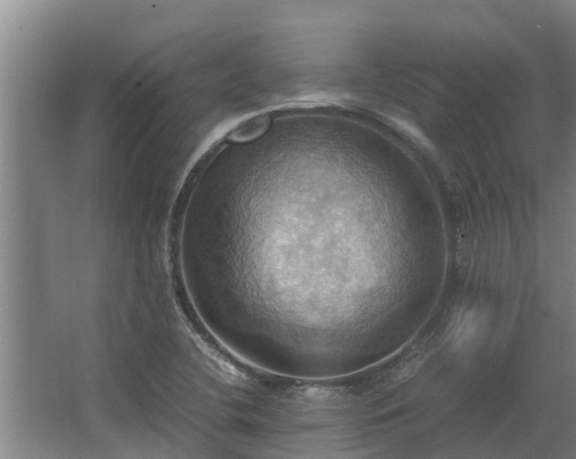 X0000064041412200602031546