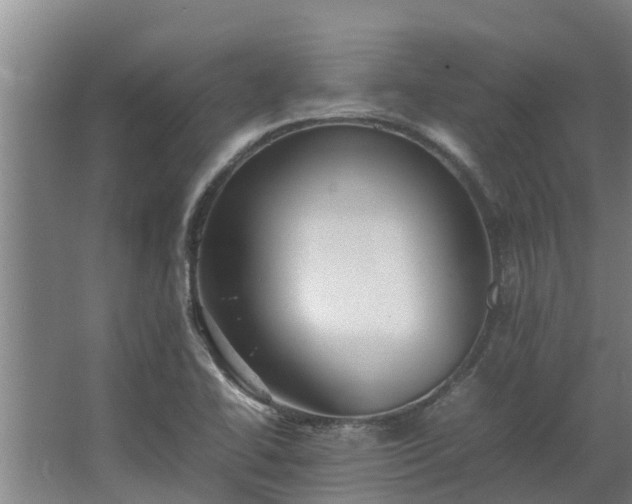 X0000064041414200602031546