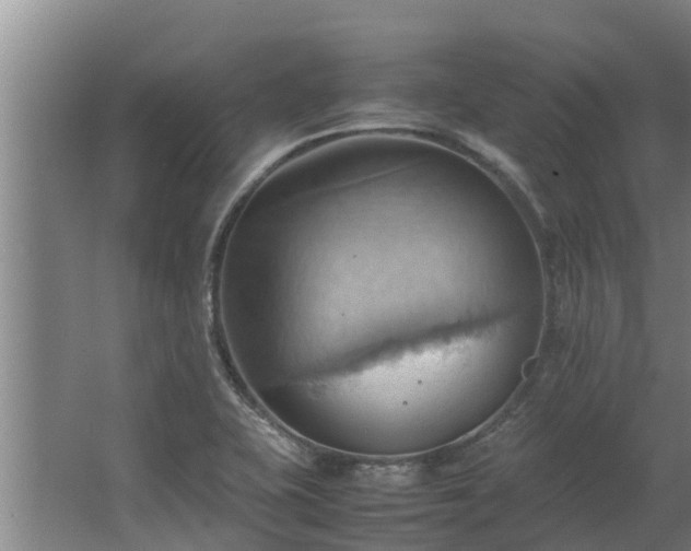 X0000064041415200602031546