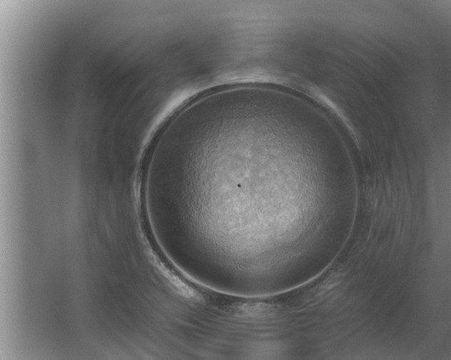 X0000064041416200602031546