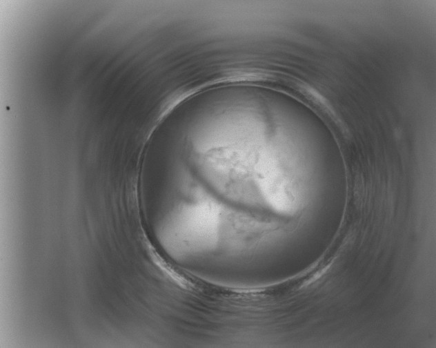 X0000064041417200602031546