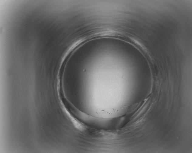 X0000064041418200602031546