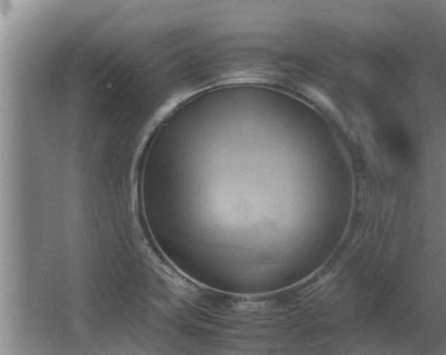 X0000064041419200602031546