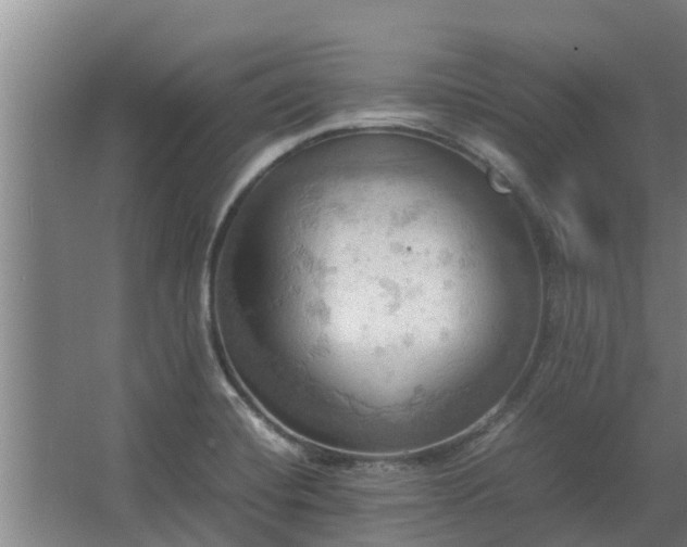 X0000064041420200602031546