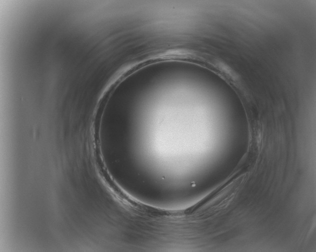 X0000064041422200602031546