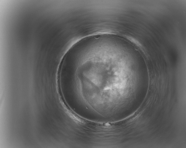 X0000064041423200602031546