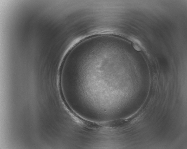 X0000064041424200602031546