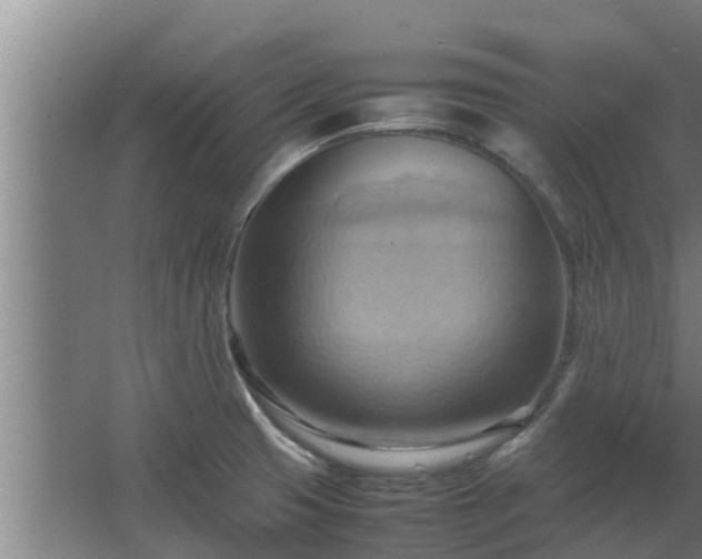 X0000064041425200602031546