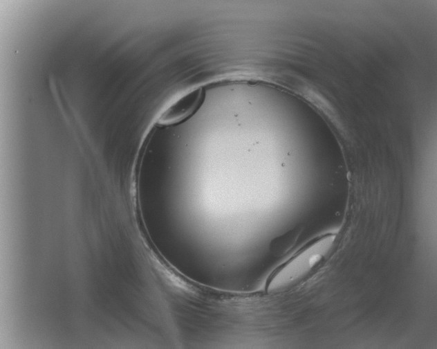 X0000064041428200602031546