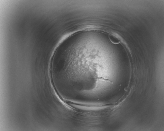 X0000064041429200602031546