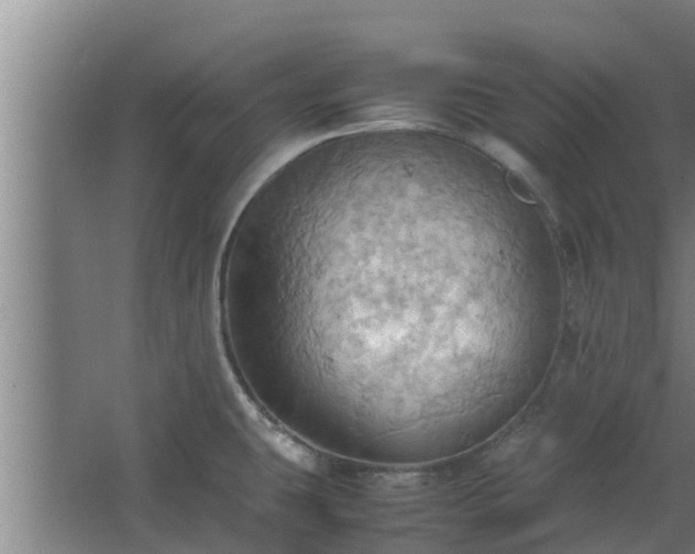 X0000064041431200602031546