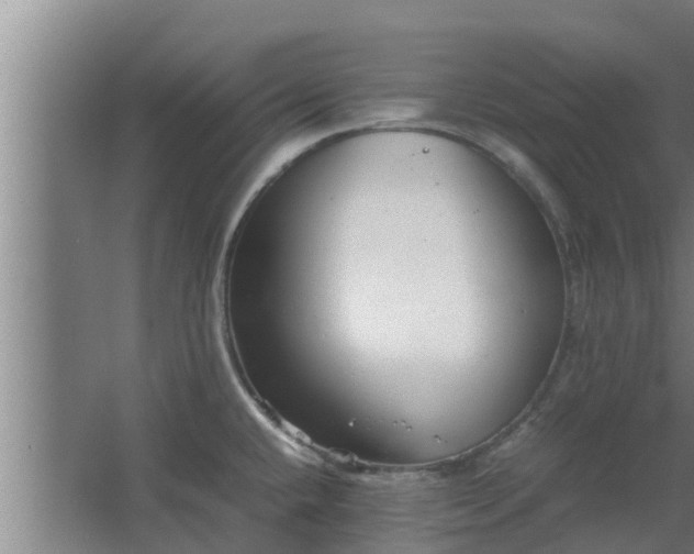 X0000064041432200602031546