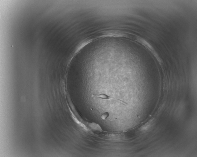 X0000064041433200602031546