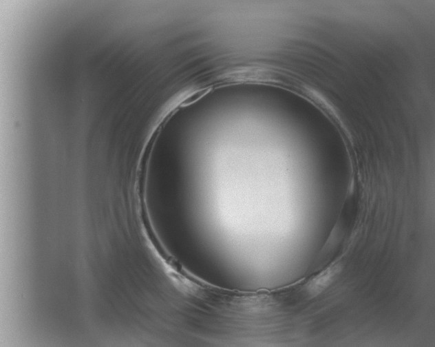 X0000064041434200602031546