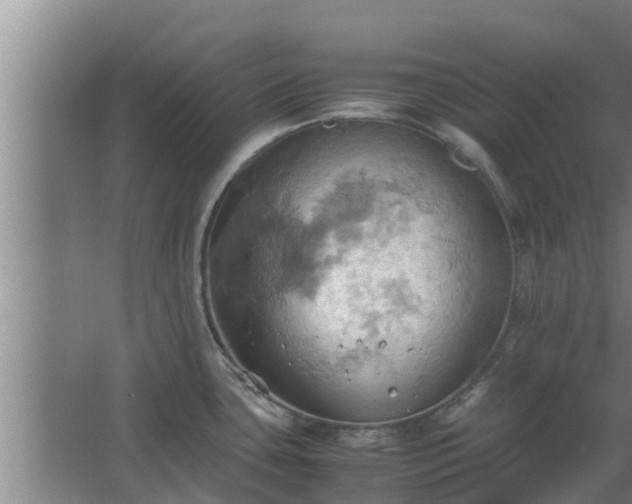 X0000064041435200602031546