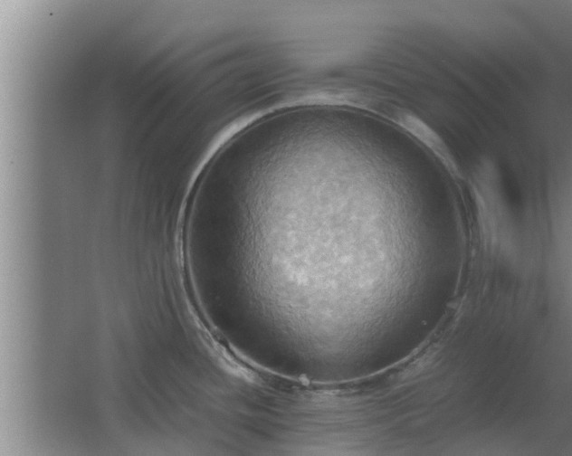 X0000064041436200602031546