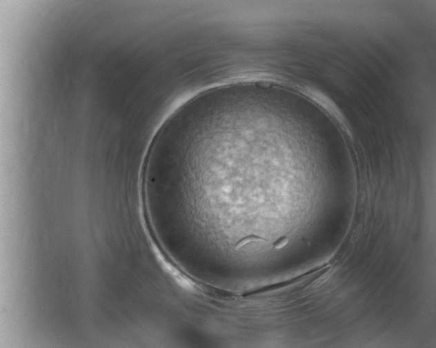 X0000064041439200602031546