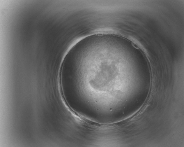 X0000064041440200602031546