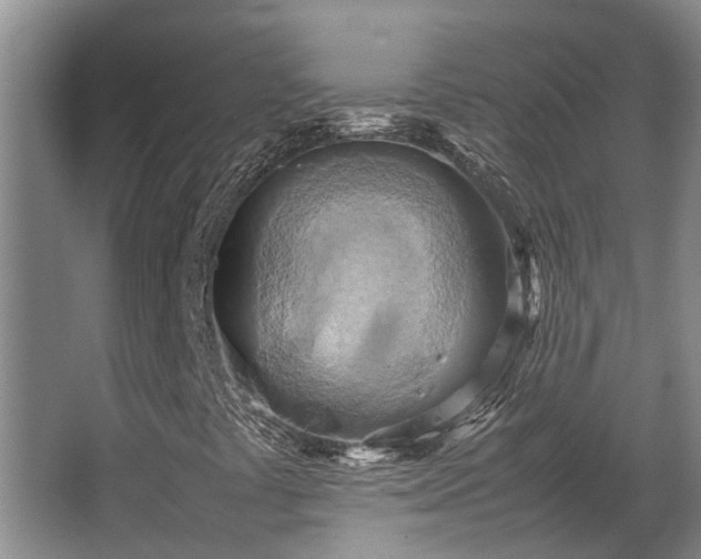 X0000064041441200602031545