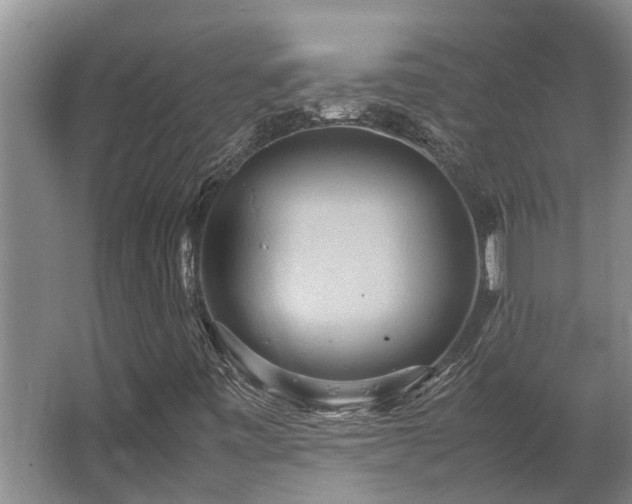 X0000064041443200602031545