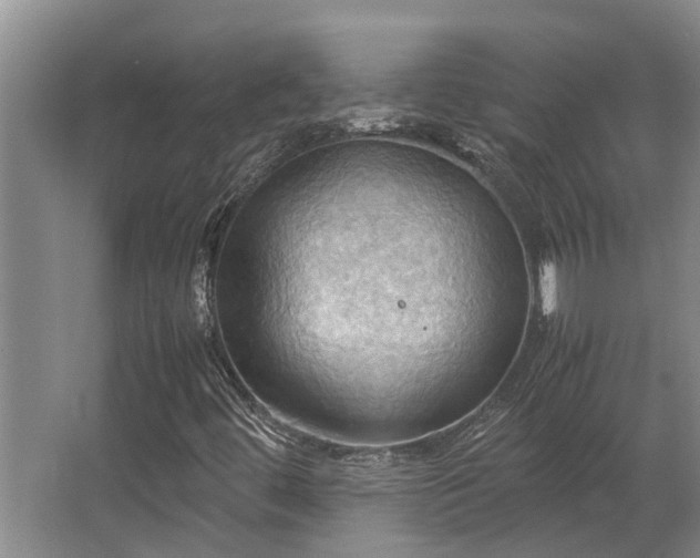 X0000064041444200602031545