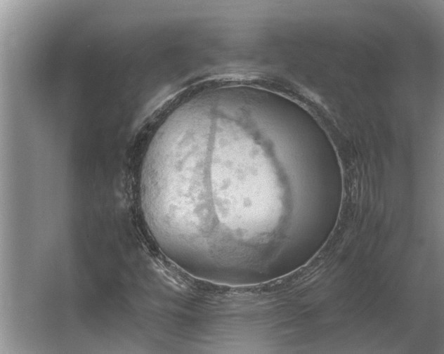 X0000064041448200602031545