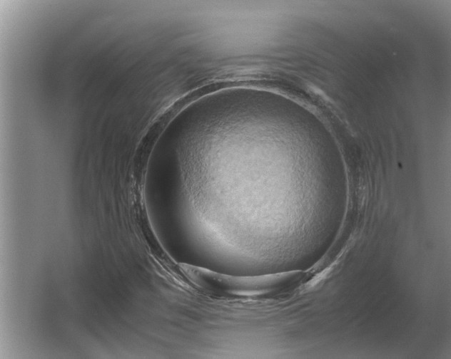 X0000064041449200602031545