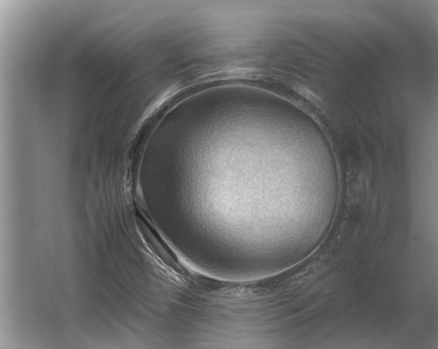 X0000064041450200602031545