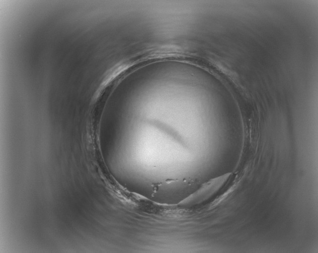 X0000064041453200602031545