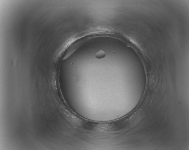 X0000064041455200602031545