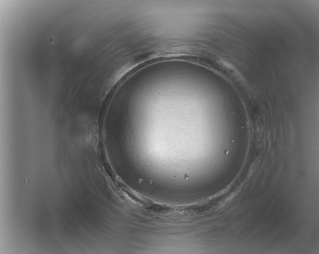 X0000064041457200602031545