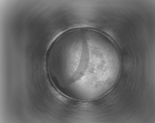 X0000064041460200602031545