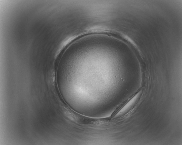 X0000064041461200602031545