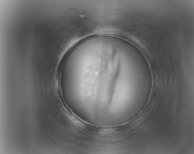 X0000064041462200602031545