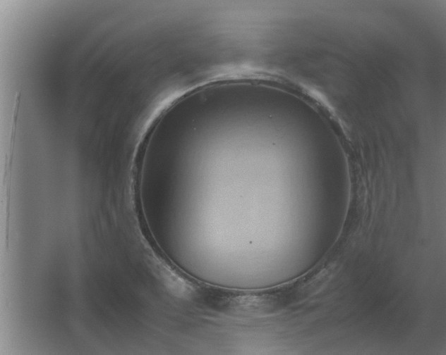 X0000064041463200602031545