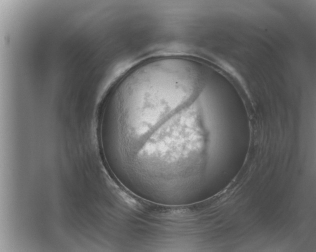 X0000064041464200602031545