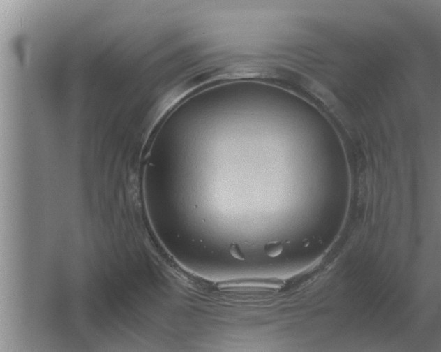 X0000064041465200602031545