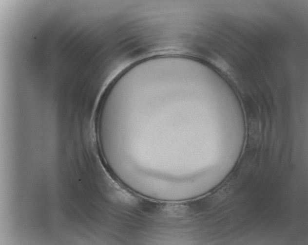 X0000064041466200602031545