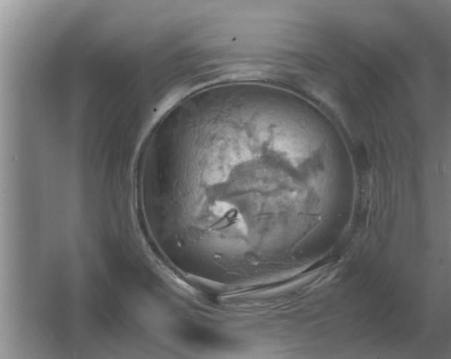 X0000064041467200602031545