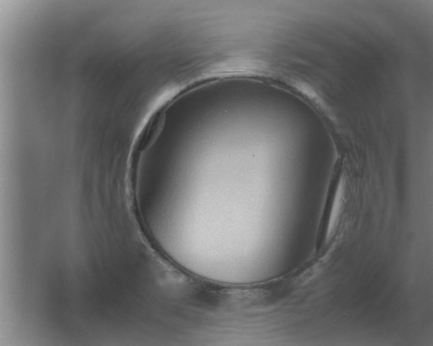 X0000064041469200602031545